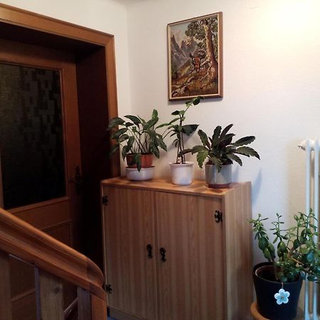 Haus Hubertusheim Leilighet Schladming Eksteriør bilde
