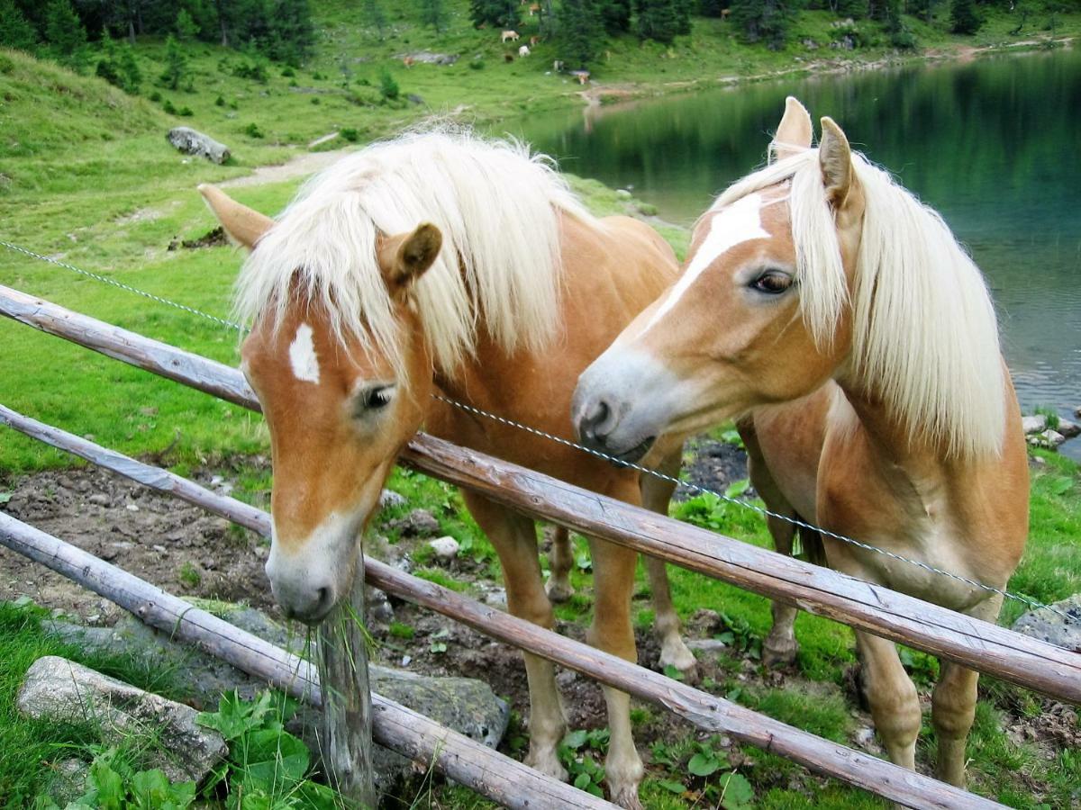 Haus Hubertusheim Leilighet Schladming Eksteriør bilde