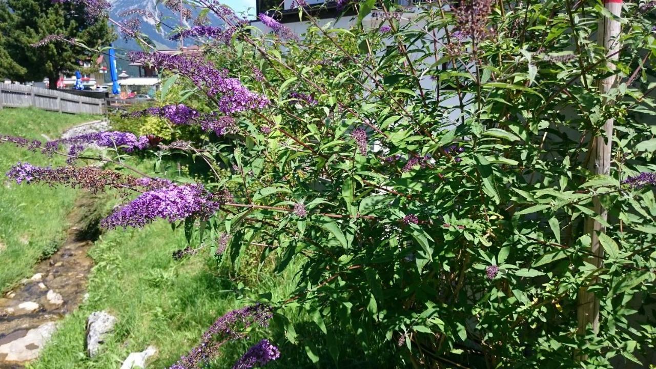 Haus Hubertusheim Leilighet Schladming Eksteriør bilde