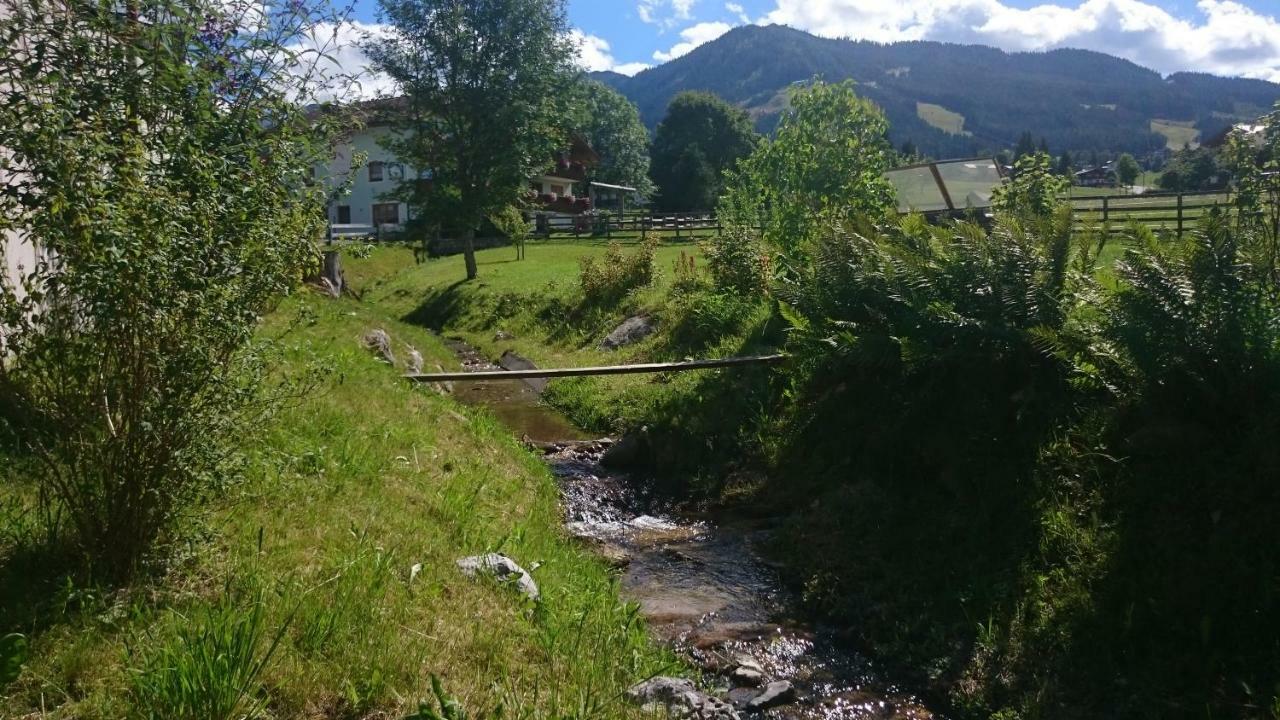 Haus Hubertusheim Leilighet Schladming Eksteriør bilde